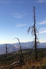 WABDR Section 5 _003.jpg WABDR Section 5 _003.jpg