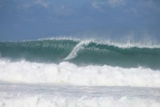 IMG_3938.JPG