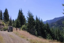WABDR Section 1_006.jpg WABDR Section 1_006.jpg