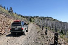 WABDR Section 2_004.jpg WABDR Section 2_004.jpg
