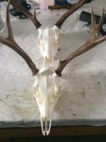 thumbnail_IMG_3553.jpg