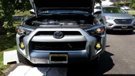 Fog lights.jpg