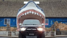 IMG_20170116_193618.jpg