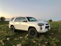 4Runner field.jpg