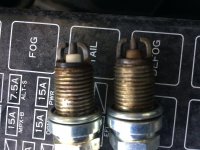 plugs.jpg