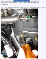 ace_spring.jpg