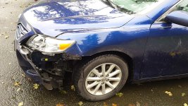 2010 Camry Deer.jpg