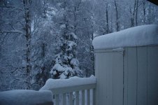 DSC_0006.jpg