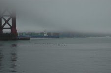 dsc_0052.jpg