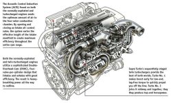 7y6t (98).jpg