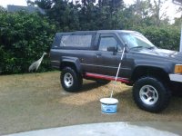 Washing 4Runner with bird in background.jpg