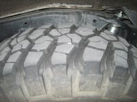 IMG_1631.jpg