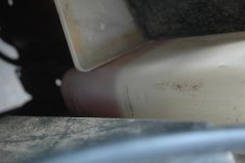 DSC_4311.jpg