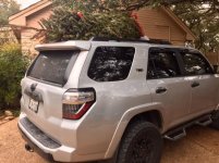 Christmas Tree '16.jpg