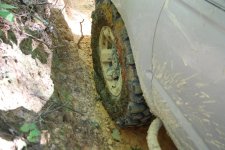 DSC_4466.jpg