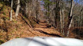 IMG_20161114_115654.jpg