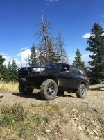 IMG_3234.jpg
