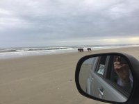 IMG_2616.jpg