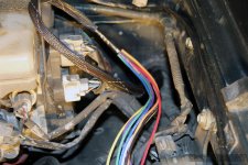 Wiring Harness_2.jpg Wiring Harness_2.jpg