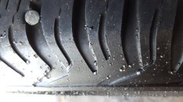 20161024_073525.jpg