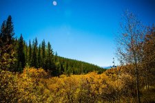 DSC_1047.jpg