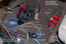Engine bay harness_1.jpg