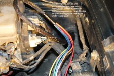 Engine bay harness_4.jpg