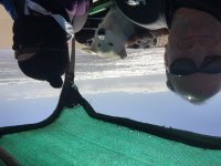 IMG_1724.JPG