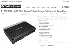 RFG_amp.jpg RFG_amp.jpg