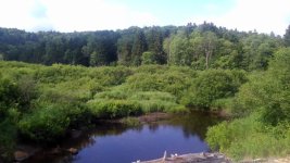 IMG_20160714_093705.jpg