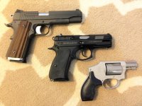 pistols (2)_LI.jpg