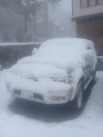 20170116_095154.jpg