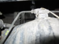 IMG_3937.JPG