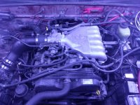 IMG_20160927_205057.jpg