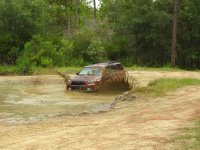 IMG_2271.jpg