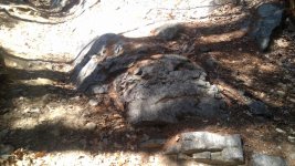 IMG_20160424_132157.jpg