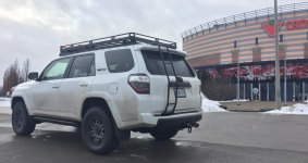 IMG_6387.jpg
