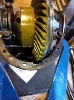 IMG_20160927_122539_wm.jpg