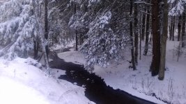 IMG_20161230_092946.jpg