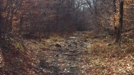 IMG_20161118_124350.jpg
