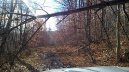 IMG_20161118_125218.jpg