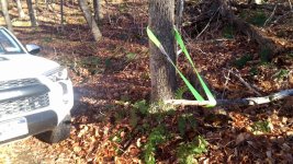 IMG_20161118_134156.jpg