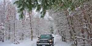 dsc_0493.jpg