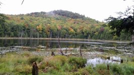 IMG_20161001_133414.jpg