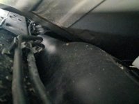 IMG_20170128_123127.jpg