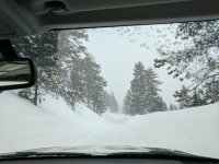 IMG_20170121_104207.jpg