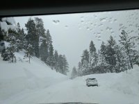 IMG_20170121_104426.jpg