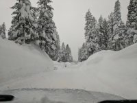 IMG_20170121_165551.jpg