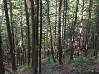 IMG_7104.jpg