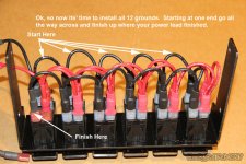 Harness_5.jpg